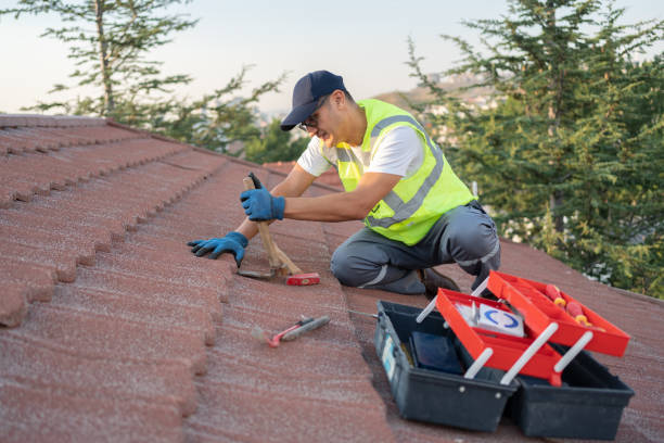 Best Storm Damage Roof Repair  in South Shore, KY