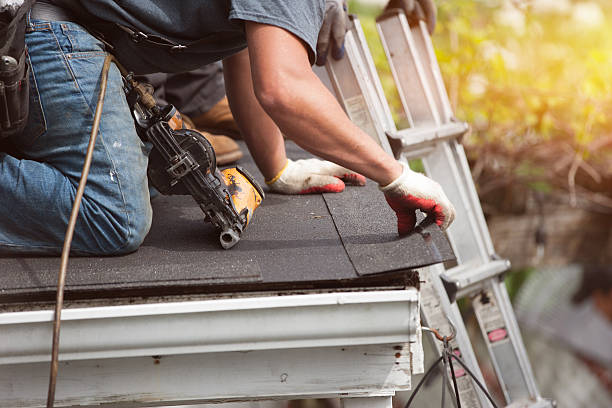Best Gutter Installation and Roofing  in South Shore, KY
