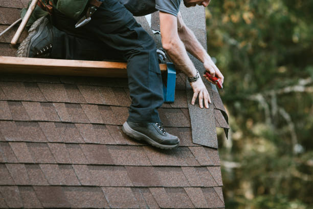 Best Shingle Roofing Installation  in South Shore, KY